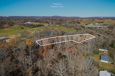 0 E Bethlehem Rd unit RTC3049085, Sparta, TN 38583 - photo 6