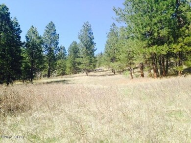Meadow