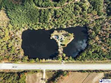 1124 Kingsburg Hwy, Johnsonville, SC 29555 - photo 2