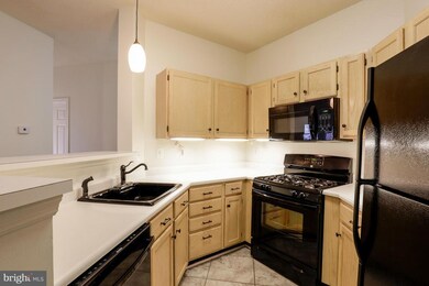 14320 Climbing Rose Way unit 101, Centreville, VA 20121 - photo 7
