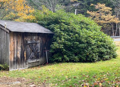 shed and unbelievable rhododenron