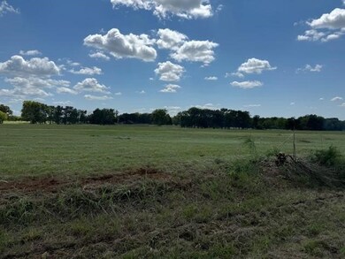TBD Lot 5 Vz County Road 2702, Mabank, TX 75147 - photo 4