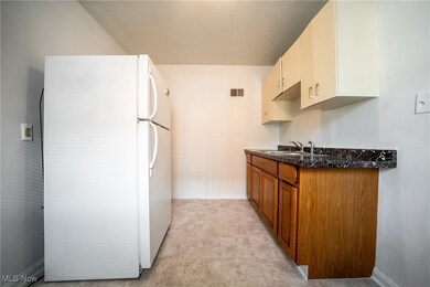 21250 Crystal Ave, Euclid, OH 44123 - photo 4