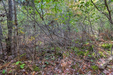 Off S Turtle Lake Rd unit S5, Winchester, WI 54557 - photo 4