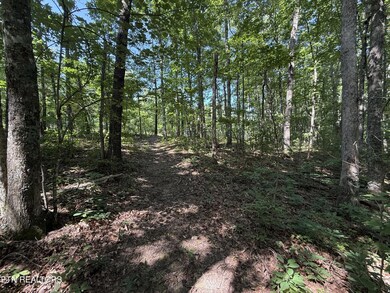 0 Little Place unit RTC2928150, Monterey, TN 38574 - photo 5