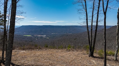 0 Raulston Falls Rd unit RTC3049508, Jasper, TN 37347 - photo 3