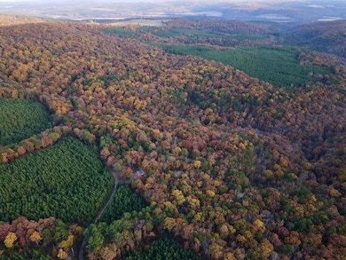 000 Cr 212, Clinton, AR 72031 - photo 4