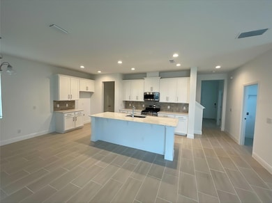 423 Lemongrass Rd, Minneola, FL 34715 - photo 3