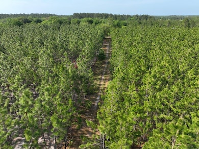 0 Ralph Davis Rd, Folkston, GA 31537 - photo 4