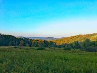 00 Town Line Rd, McGraw, NY 13101 - photo 6