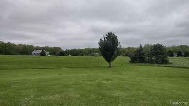 Side yard