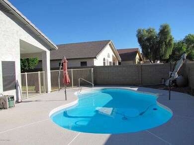Backyard/Pool