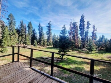 Deck View