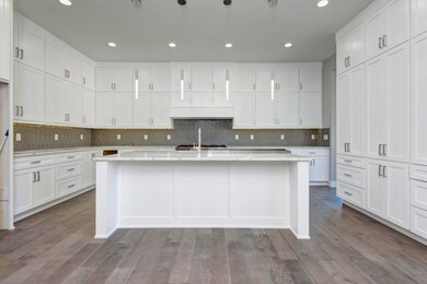 203 N Blarney Ct, Nixa, MO 65714 - photo 6