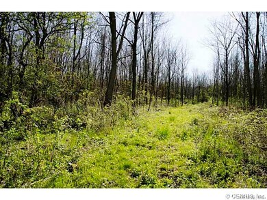 Land/Lot.