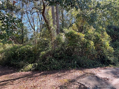 Lot 11 1/2 Lot 12 Berman St, Andalusia, AL 36421 - photo 6