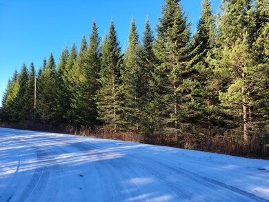 ON Cth A, Deerbrook, WI 54424 - photo 3