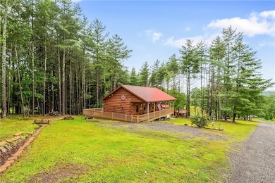 967 Double Bridges Dr, Fancy Gap, VA 24328 - photo 3