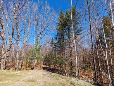 0 Valley Vista Rd unit 5000773, Sugar Hill, NH 03586 - photo 6