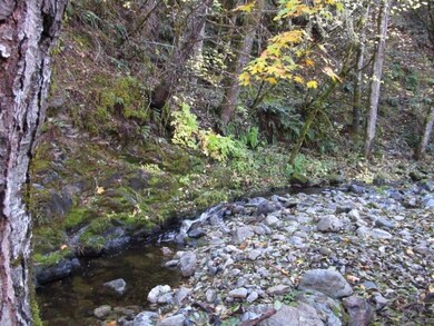 946 W Pickett Creek Rd, Grants Pass, OR 97527 - photo 4