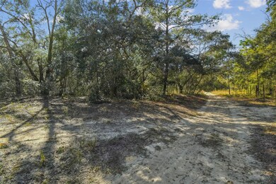 2903 Tyler St, Inverness, FL 34453 - photo 5