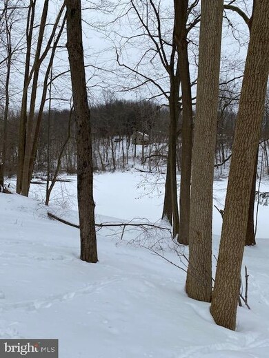 7601 Powder Valley Rd, Zionsville, PA 18092 - photo 4