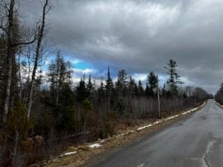Lot 2 Greenleaf Brook Rd, Amity, ME 04471 - photo 2