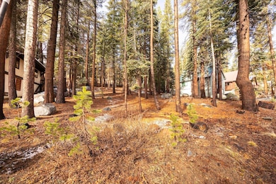 6303 Tamarack Way, Soda Springs, CA 95728 - photo 7