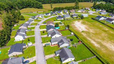 DJI_0065