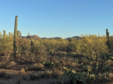 LOT 5 ~ LAZY C RANCH