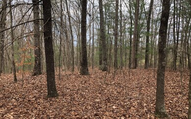 17AC Lakewood Hwy, Mineral Bluff, GA 30559 - photo 4