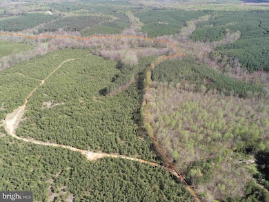 0 Cabell Lane (Tract: 5810 Thomas M Brooks) unit VABH2000204, New Canton, VA 23123 - photo 3