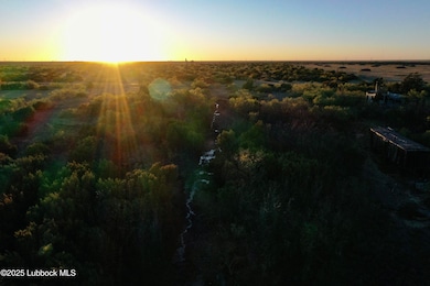 DJI_0504 copy