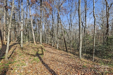 2201 Old Mountain Rd, Hiddenite, NC 28636 - photo 5