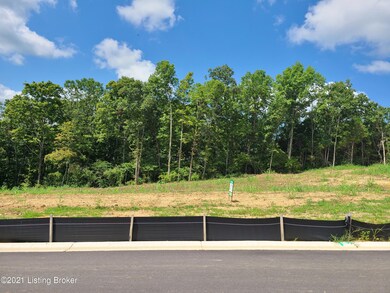 30 Goodlett Kilner Ct, Mount Washington, KY 40047 - photo 2