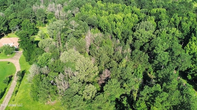 0 Robinson Springs Rd unit 4079514, Madison, MS 39110 - photo 6