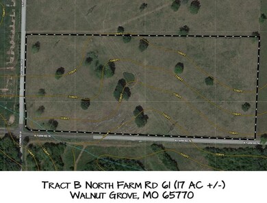 Tract B N Farm Road 61, Walnut Grove, MO 65770 - photo 4