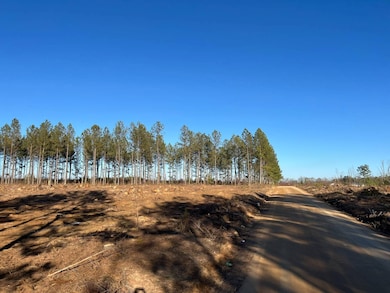 --2B Irving Rd, Batesburg-Leesville, SC 29006 - photo 2