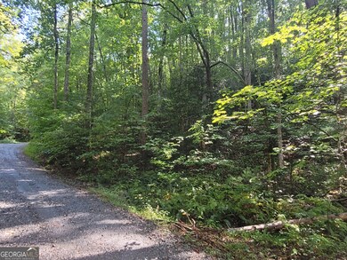 LOT 6 Miners Mountain Rd, Sautee Nacoochee, GA 30571 - photo 6