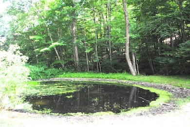 15 Oxbow Rd, Great Barrington, MA 01230 - photo 3