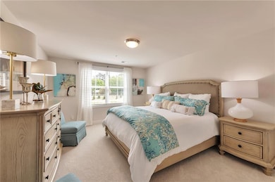 The bedroom features carpet flooring with ample closet space.
