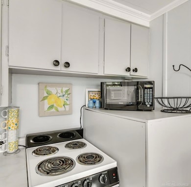 201 Gasoline Aly, Houghton Lake, MI 48629 - photo 7