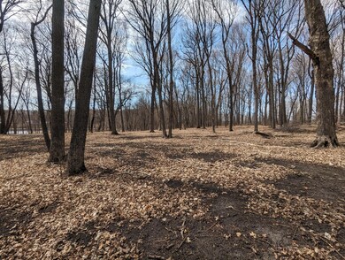 xxx Honeysuckle Ln SW, Kensington, MN 56343 - photo 7