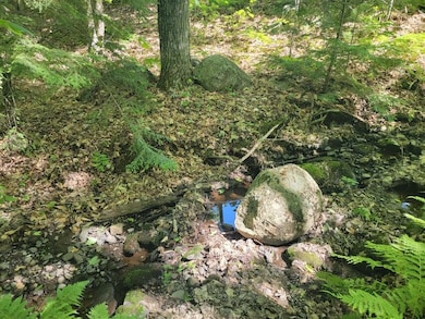 00 Fahi Pond Rd, Embden, ME 04958 - photo 2