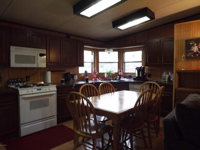 13131 Vergennes St SE, Lowell, MI 49331 - photo 5