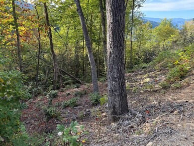 345 Cardinal Bluff Dr, Whittier, NC 28789 - photo 5