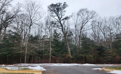 5 Langford Blvd, Cape May Court House, NJ 08210 - photo 6