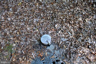 LOT 135 River Bend Dr, Paw Paw, WV 25434 - photo 5