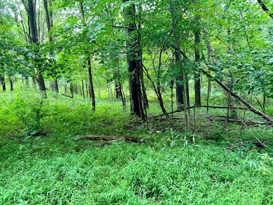 0 Benjamin Franklin Hwy, Ebensburg, PA 15931 - photo 7