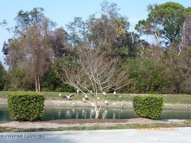 lake view front yard